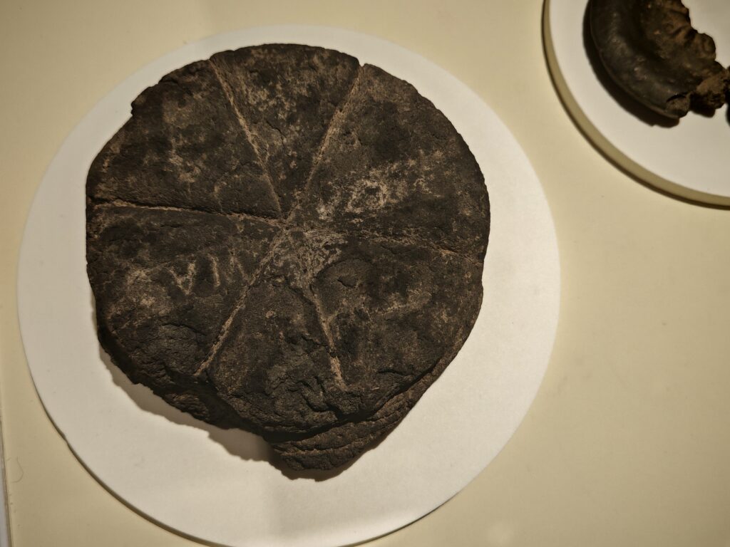 1000332119-1024x768 Il cibo degli antichi Ercolanensi in mostra