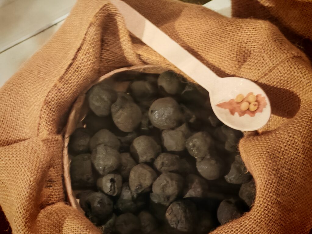 1000332128-1024x768 Il cibo degli antichi Ercolanensi in mostra