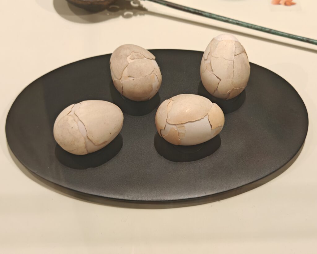 1000332208-1024x819 Il cibo degli antichi Ercolanensi in mostra