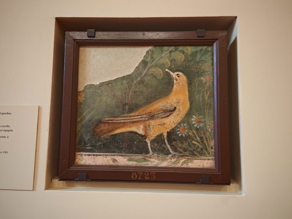 1000426496-1024x768 Domus. Gli arredi di Pompei