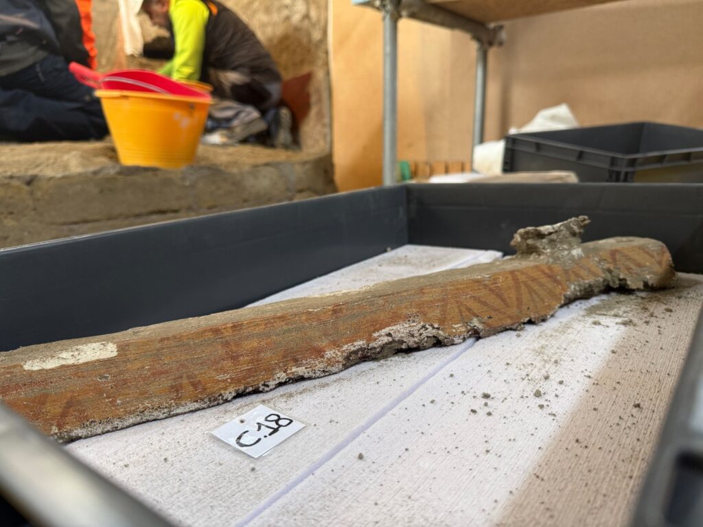 nuovi-reperti-Oplontis-1024x768 Oplontis, nuovi scavi